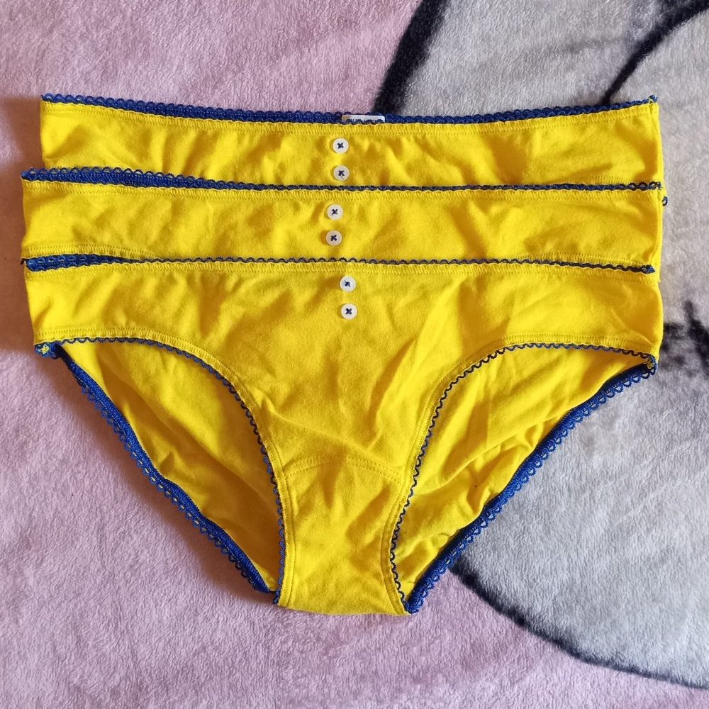 NEW GILLY HICKS Down Undies (Bikini Style)